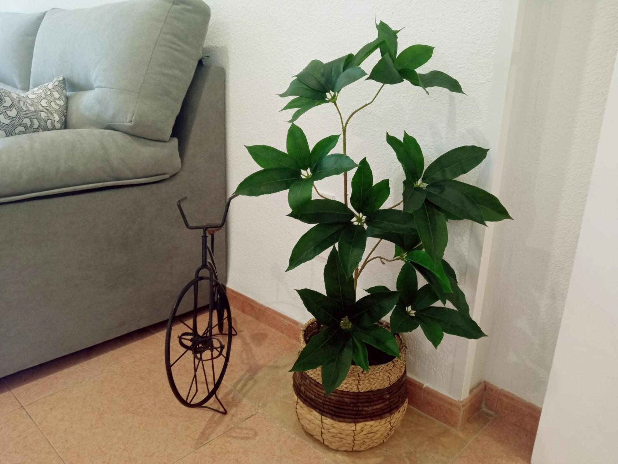 Apartamento Los Jardines De La Magdalena Кордоба Екстериор снимка